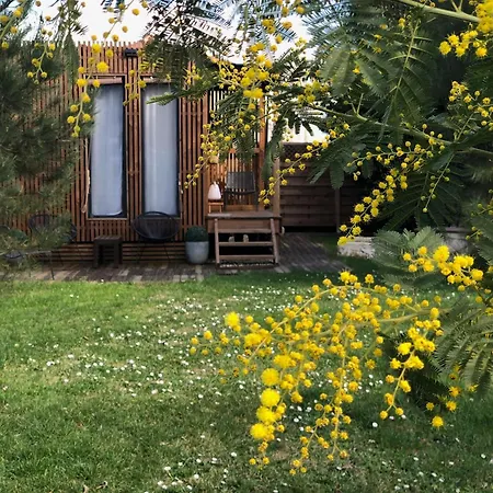 Les Suites D'Alienor-Suite Mimosa Pessac Exterior photo
