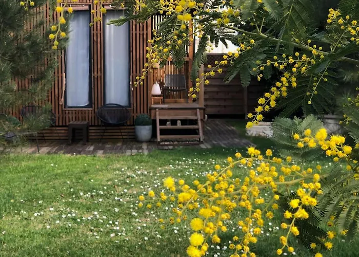 Les Suites D\'Alienor-Suite Mimosa